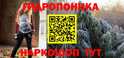сатива Аргун