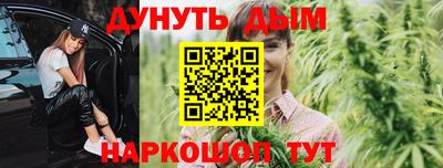сатива Аргун