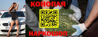 хмурый Апшеронск