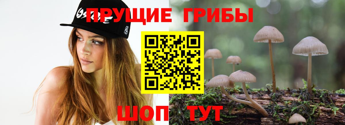 Галлюциногенные грибы Psilocybine cubensis  Вход с VPN  Бахчисарай 